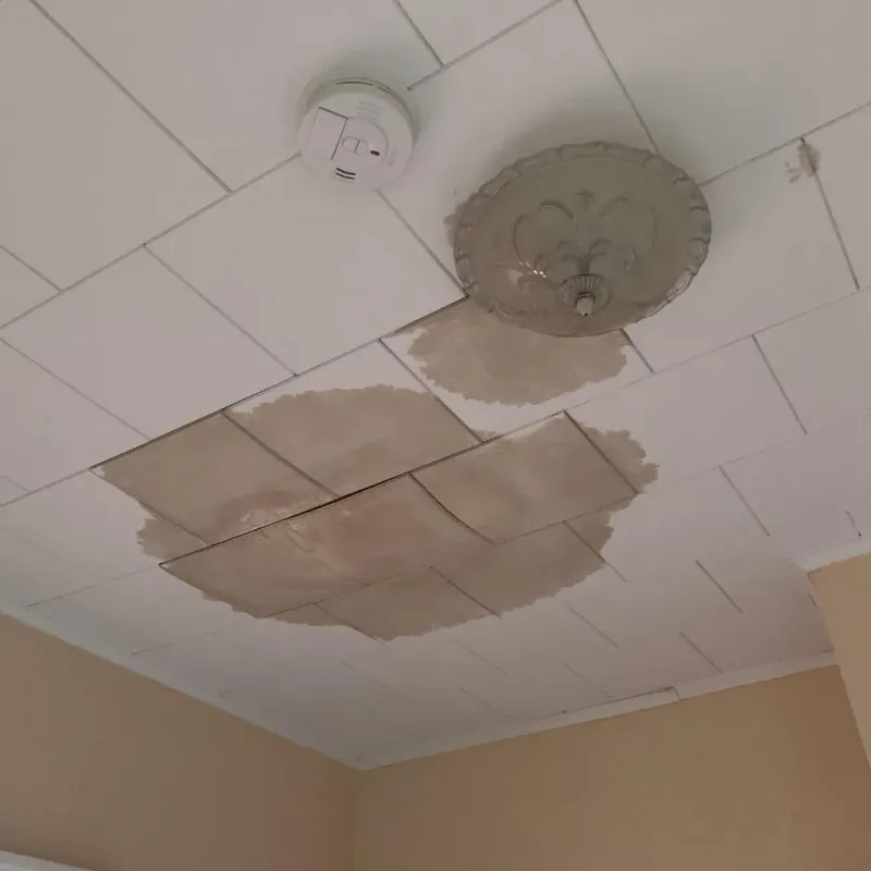 Ceiling Water Damage Repair in Shackelford County, TX